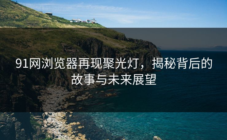 91网浏览器再现聚光灯，揭秘背后的故事与未来展望